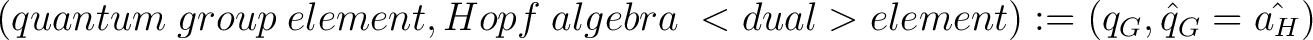 $\displaystyle (quantum \; group \; element, Hopf \; algebra \; <dual> element) := (q_G, \hat{q}_G = \hat{a_H})$