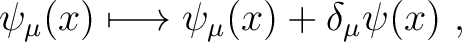 $\displaystyle \psi _\mu(x)\longmapsto \psi _\mu(x)+\delta _\mu \psi(x) ~, $