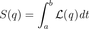 $\displaystyle S(q)=\int_{a}^{b}\mathcal{L}({\it q}){\it dt} $