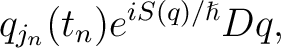 $\displaystyle q_{j_{n}}(t_{n})e^{iS(q)/\hslash}Dq, $