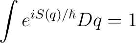 $\displaystyle \int e^{iS(q)/\hslash}Dq=1$