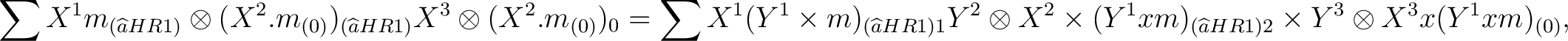 $\displaystyle \sum X^1 m_{(\widehat{a} H R1)} \otimes (X^2 . m_{(0)})_{(\wideha... ...\times (Y^1 x m)_{(\widehat{a}H R1)2} \times Y^3 \otimes X^3 x (Y^1 x m)_{(0)},$