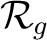 $\mathcal{R}_g$