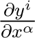 $\frac{\partial y^i}{\partial x^\alpha} $