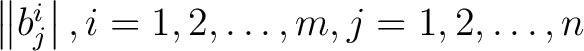 $\left \Vert b_j^i \right\vert, i = 1,2, \dots, m, j = 1, 2, \dots, n$