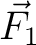 $\vec{F_1}$