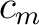 $c_{m}$