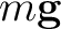 $m\mathbf g$