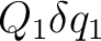 $Q_1\delta q_1$