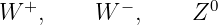 W +,     W  − ,    Z0
