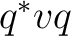 $q^*vq$