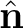 $\hat{\mathbf n}$
