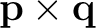 $\mathbf p\times\mathbf q$