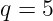 q = 5
