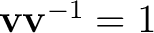 $\mathbf v\mathbf v^{-1}=1$