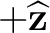 $+\widehat{\mathbf z}$