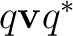 $q\mathbf vq^*$