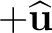 $+\widehat{\mathbf u}$