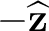 $-\widehat{\mathbf z}$