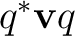 $q^*\mathbf vq$