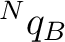 ${}^{N}q_B$