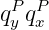 qPy qPx
