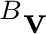 ${}^{B}\mathbf v$