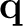 $\mathbf q$