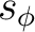 $s_\phi$