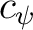 $c_\psi$