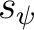 $s_\psi$