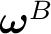 $\boldsymbol\omega^{B}$