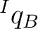 ${}^{I}q_B$