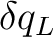 $\delta q_L$