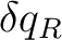 $\delta q_R$