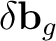 $\delta\mathbf b_g$