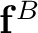 $\mathbf f^B$