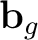 $\mathbf b_g$