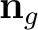 $\mathbf n_g$