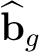 $\widehat{\mathbf b}_g$