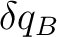 $\displaystyle \delta q_B$