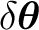 $\delta\boldsymbol\theta$