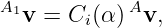 A1          A
  v = Ci (α ) v,
