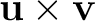 $\mathbf u\times\mathbf v$