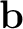 $\mathbf b$