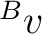 ${}^{B}v$