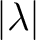 $\vert\lambda\vert$