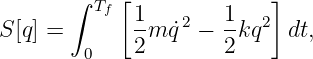       ∫    [              ]
         Tf 1    2   1   2
S[q] =      --m ˙q −  -kq   dt,
        0   2        2
