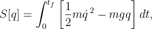        ∫   [             ]
         tf  1-  2
S[q] =       2m ˙q  − mgq   dt,
        0
