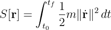        ∫ tf1
S [r] =     --m ∥˙r∥2dt
        t0 2
